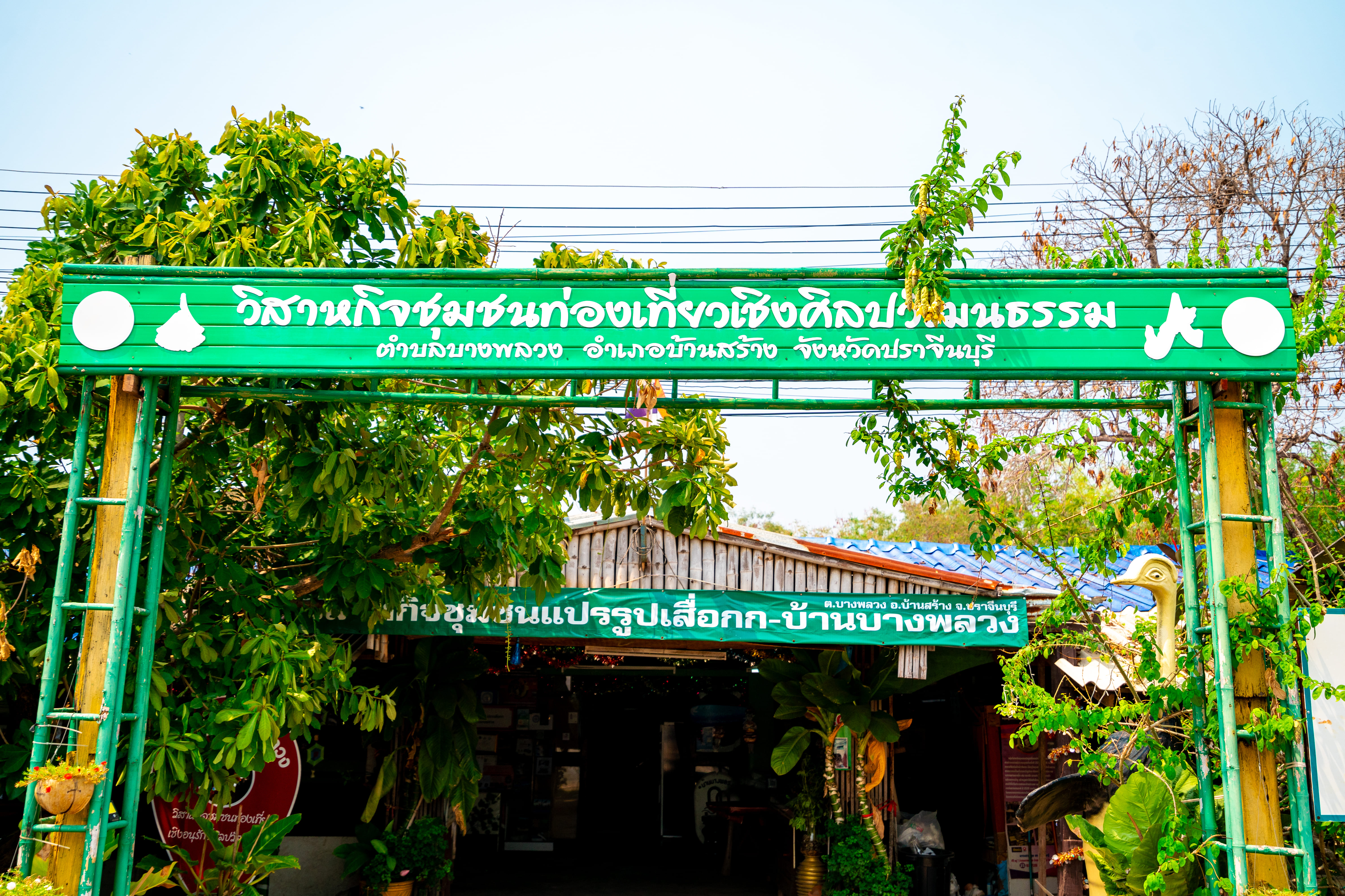 วิสาหกิจชุมชนแปรรูปเสื่อกกบ้านบางพลวง